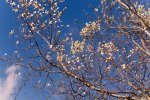 STU_5182.jpg