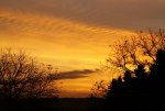DSC05852_900.jpg