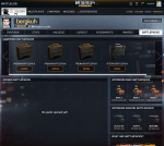 Battlelog.PNG