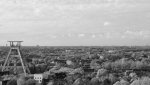 IMGP5415-2.jpg