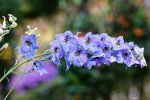 DSC_5638-2.jpg