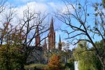 DSC_0679.JPG