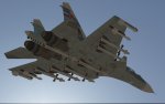 SU-33 (2).jpg