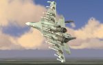 SU-33 (5).jpg