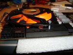 DSC01101.jpg