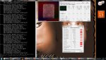 screen memtest.jpg