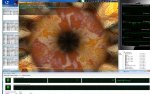 Test gpu cpu.jpg