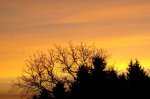 DSC05921__900.jpg