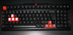 IMG_0267b_1280x612.png
