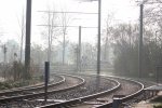 IMG_2444.jpg