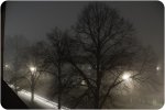 IMGP5779.jpg