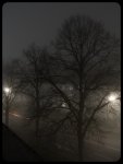 IMGP5780.jpg