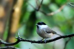 DSC_3841.jpg