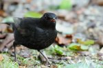 DSC_3847.jpg