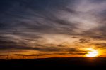 IMG_5936.jpg