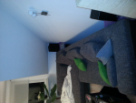 ForumRunner_20131203_220711.png