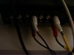 image-490460607.jpg