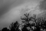 COL_0662.jpg