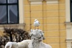 FlyPic (1).jpg