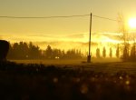 DSC06001_900.jpg