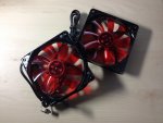 IMG_0981.JPG