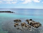 DSC_1366.jpg