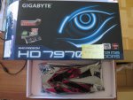 7970 (1).JPG