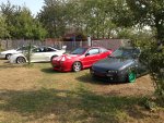 IMG_9873.jpg