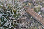 DSC_0047.JPG