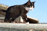 DSC_0104.JPG