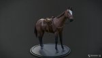 horse_stefanschneiderl8prf.jpg