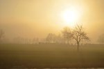 Nebel 02.jpg