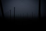 nebel-3.jpg