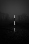nebel-4.jpg