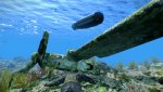 2013-12-09_00004.jpg