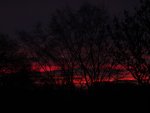 DSCF1477.jpg