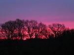 DSCF1493.jpg