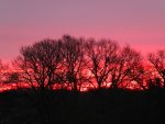 DSCF1496.jpg