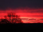 DSCF1527.jpg
