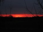 DSCF1531.jpg