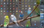 Desktop 22_12_13_.jpg
