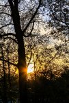 Sunset (1 von 1).jpg