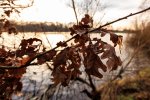 Test 10-2.jpg