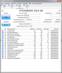 Disk Info.png
