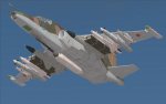 SU-25T_Einsatz (12).jpg