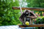 DSC_0095.jpg