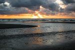 DSC_0131.jpg