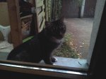 20130830_195728.jpg