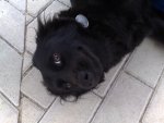 29082008011.jpg