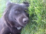 DSC00755.JPG